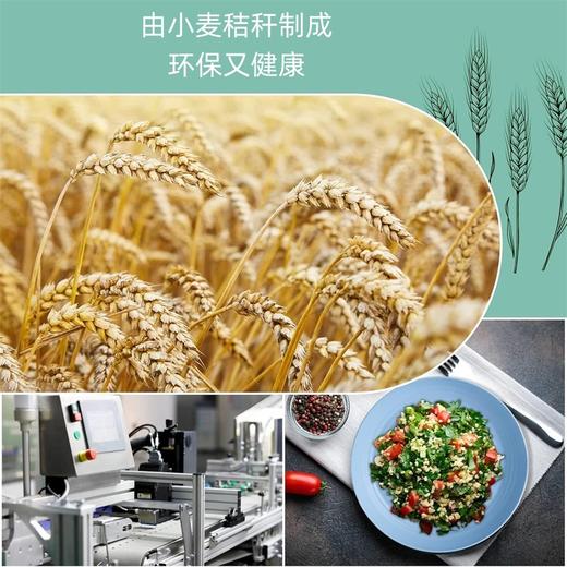 FDA认证 美国沃尔玛 HANMFEI 小麦秸秆餐具套装 32 件套 可放入洗碗机和微波炉 商品图4