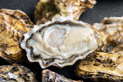 乳山生蚝 商品图0