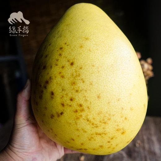 生态柚子（邮政快递） | 合作生产*Ecological pomelo | Partner Production 商品图2