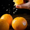 放心阳光橙约500g/份 商品缩略图3