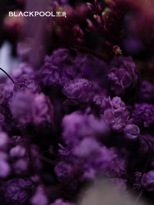 星座永生花·紫霞（积分兑换专用） 商品图2