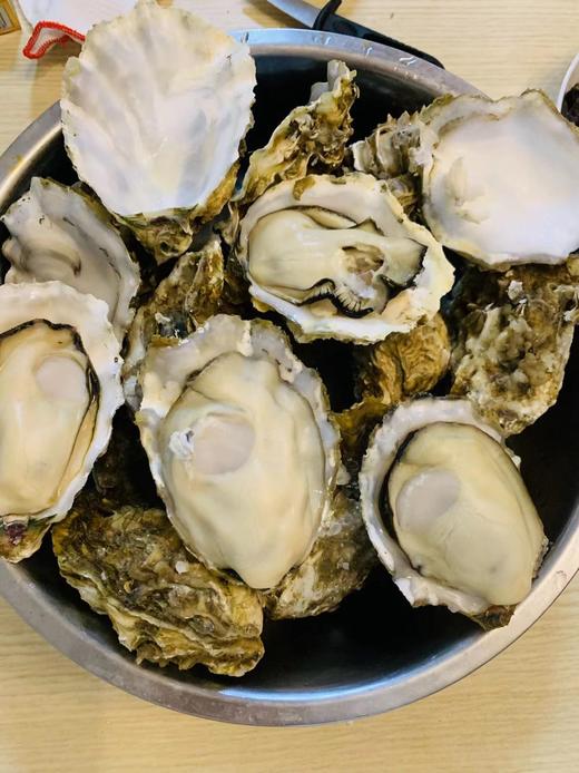 乳山生蚝 商品图8