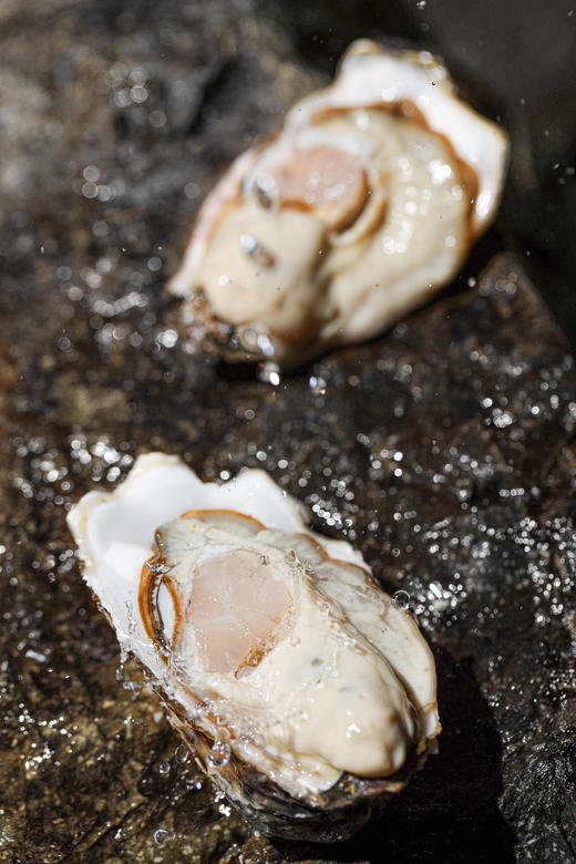 乳山生蚝 商品图6