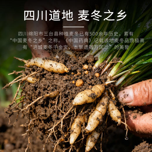 康美药业麦冬10g×20袋/盒 药食同源康美中药饮片 独立小包装 商品图2