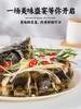泉水生态养殖 鲟龙鱼 人工现捞鲜活包邮到家 商品缩略图1