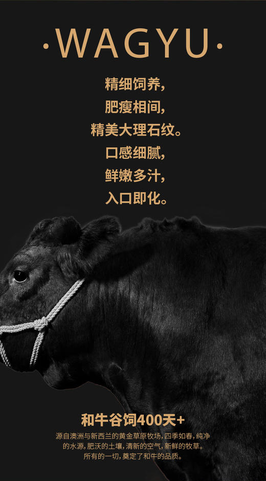 「大地极物甄选」进口谷饲原切牛排B套餐798型 商品图2