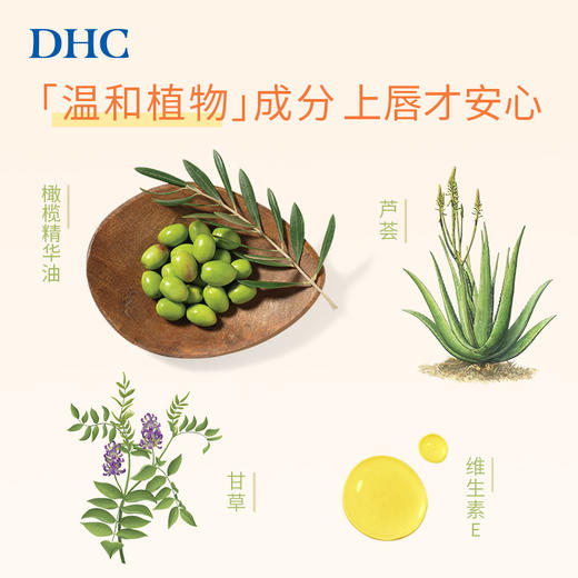 日本DHC橄榄护唇膏(专柜版）1.5g/112297 保湿滋润不粘腻无色打底 商品图3