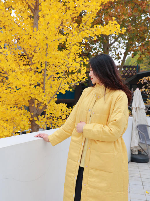 【抖音专属】新中式棉服（20802161秋香-高定款） 商品图3