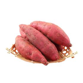 蜜薯约600g（R）