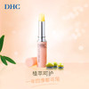 日本DHC橄榄护唇膏(专柜版）1.5g/112297 保湿滋润不粘腻无色打底 商品缩略图2