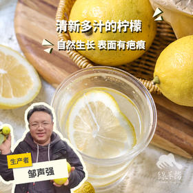 有机尤力克柠檬（圆通或极兔快递）  | 合作生产*Organic Yurik Lemon | Coproduction