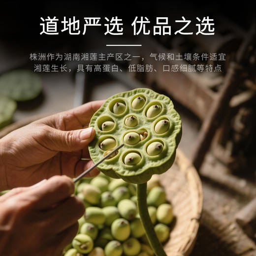 康美药业莲子10g*20袋/盒 药食同源康美中药饮片 独立小包装 商品图2