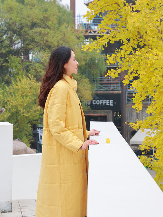 【抖音专属】新中式棉服（20802161秋香-高定款） 商品图1