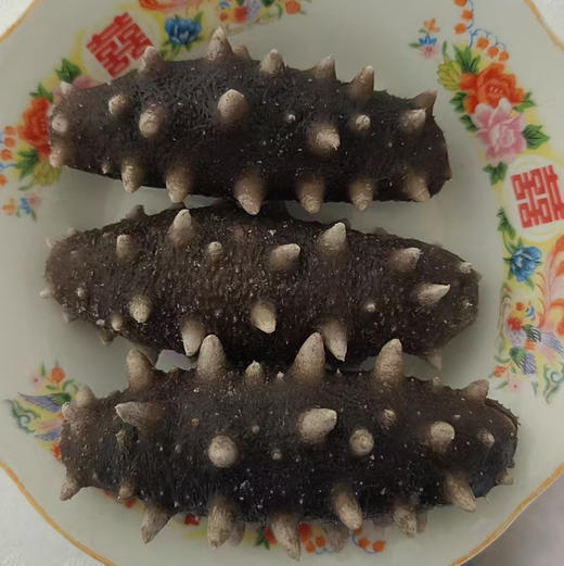 【印象沈农自有基地】大连长海县广鹿岛即食海参辽宁大连刺参鲜食500g独立袋装非鲜活海参鲜而不腥 商品图4