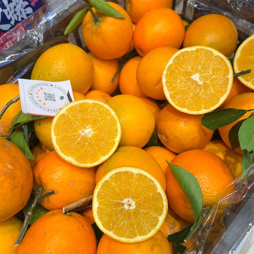 付氏脐橙 赣南脐橙 橙子 汁水多 商品图8