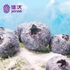 秘鲁蓝莓125g15mm+ 商品缩略图2