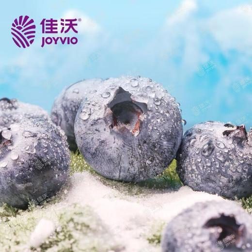 秘鲁蓝莓125g15mm+ 商品图2