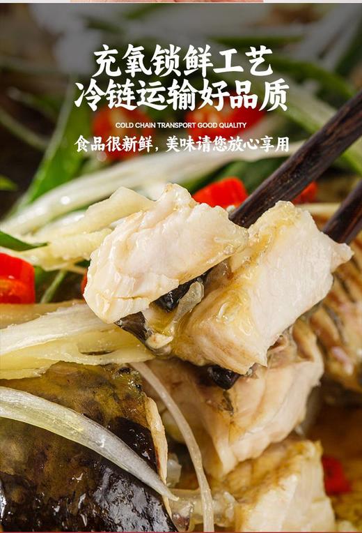 泉水生态养殖 鲟龙鱼 人工现捞鲜活包邮到家 商品图3