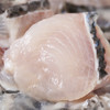 山洋免浆黑鱼片250g【GA】 商品缩略图2