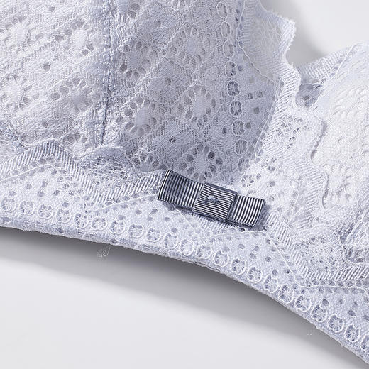 都市丽人内衣中厚蕾丝二排扣无钢圈3/4杯常规文胸LB316A 商品图4