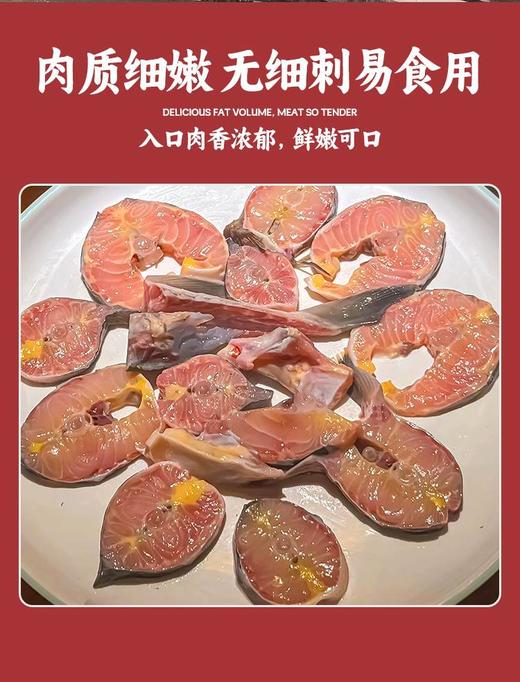 泉水生态养殖 鲟龙鱼 人工现捞鲜活包邮到家 商品图5