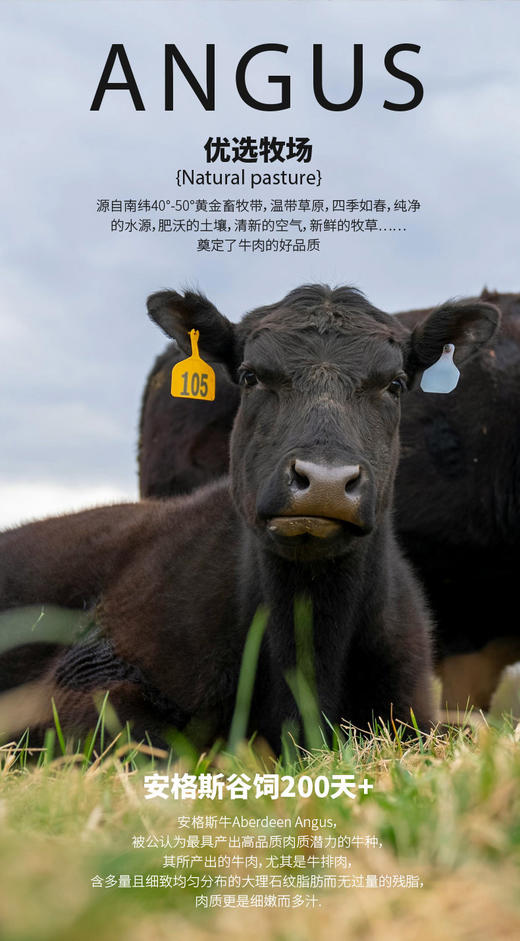 「大地极物甄选」进口谷饲原切牛排B套餐798型 商品图1