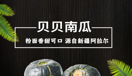 山东贝贝南瓜4.5斤礼盒装（约4-8个） 商品图5