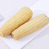 山西谷苞苞甜糯玉米年轻乐享装 (白)220g-300g*8根 商品缩略图4