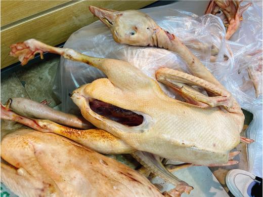 现杀小鹅一只 商品图0