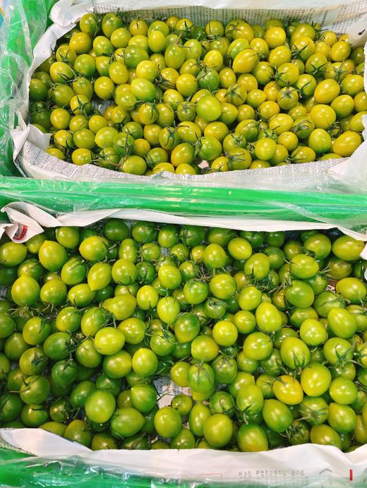 青口柿子一斤 商品图0