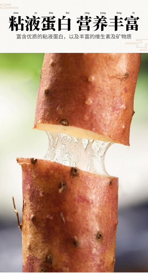 河南焦作垆土铁棍山药60公分5斤组合礼盒装 商品图11