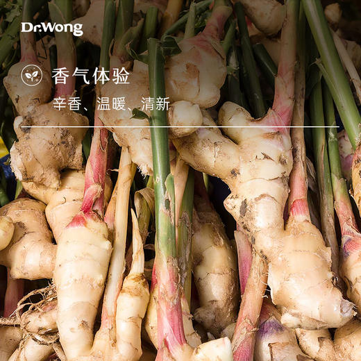 生姜 单方精油 商品图1