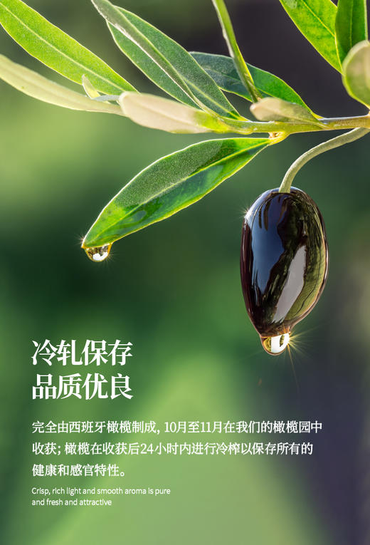 见山荟 至纯橄榄油礼盒 750ml 商品图9