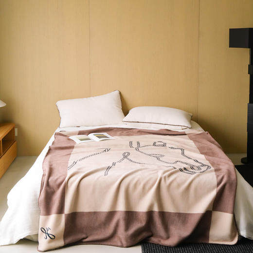 【换季出清】自然醒老钱风爱马仕风双面绒毛毯国王小马系列MT 商品图3