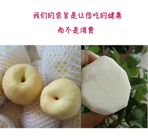 陕西酥梨大果家庭共享包邮直发 【NB】 商品图2