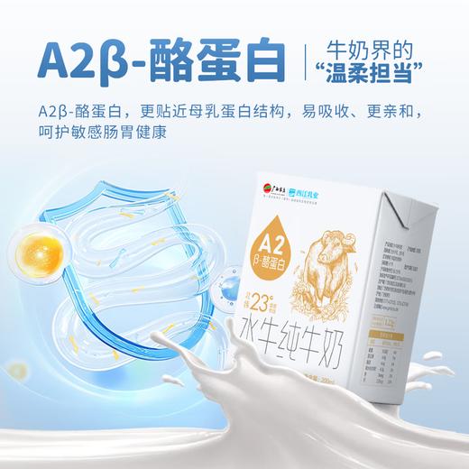 广西农垦西江乳业水牛纯牛奶(A2β酪蛋白)200g/10瓶 商品图1