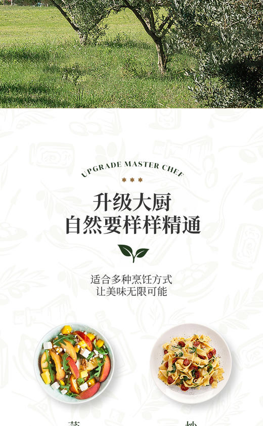 山茶橄榄植物调和油礼盒 1500ml*2 商品图6