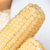 山西谷苞苞甜糯玉米年轻乐享装 (白)220g-300g*8根 商品缩略图0
