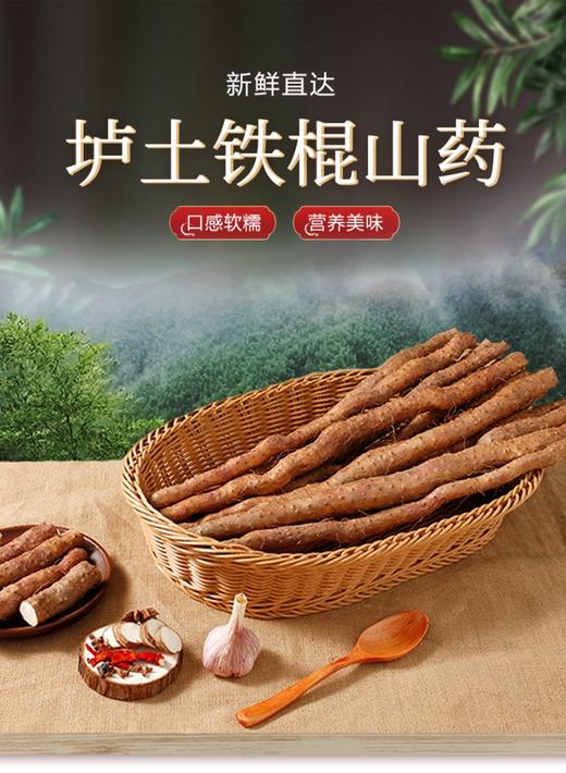 河南焦作垆土铁棍山药50公分5斤组合礼盒装 商品图2