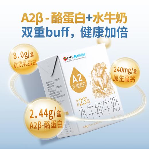 广西农垦西江乳业水牛纯牛奶(A2β酪蛋白)200g/10瓶 商品图3