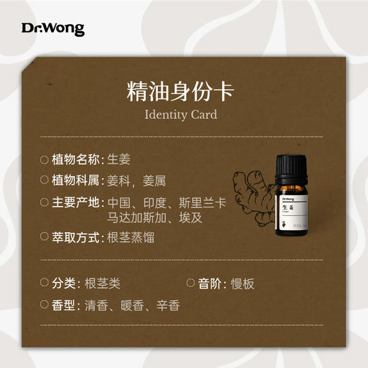生姜 单方精油 商品图2