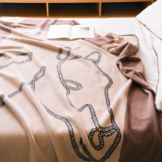 【换季出清】自然醒老钱风爱马仕风双面绒毛毯国王小马系列MT 商品图7