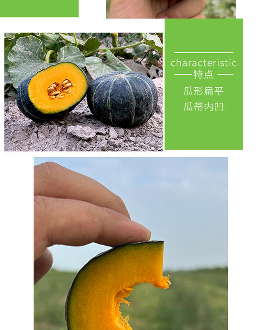 山东贝贝南瓜4.5斤礼盒装（约4-8个） 商品图9