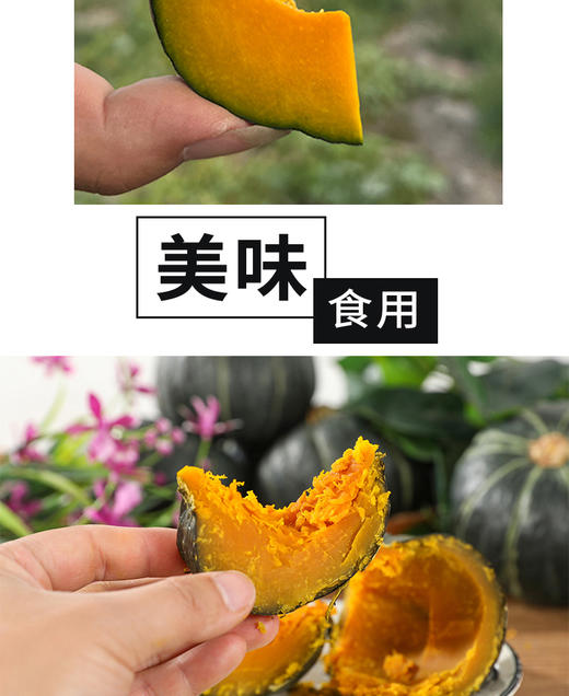 山东贝贝南瓜4.5斤礼盒装（约4-8个） 商品图10
