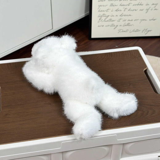 掌中白熊(含颗粒) 商品图2