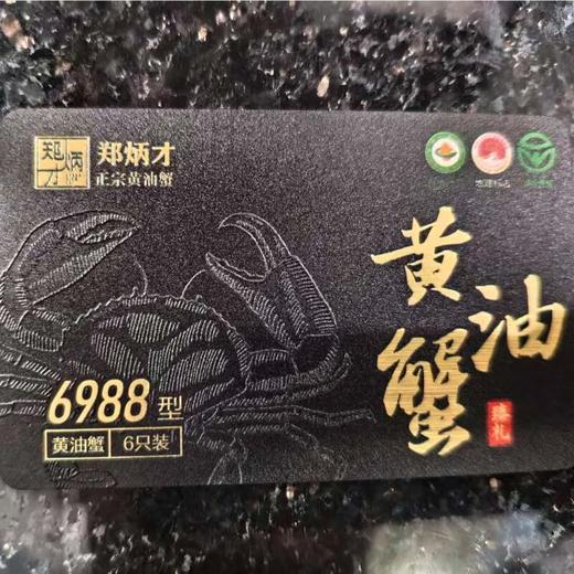 6988型流心黄油蟹 6两6只装蟹卡 /张 商品图0