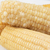 山西谷苞苞甜糯玉米年轻乐享装 (白)220g-300g*8根 商品缩略图3