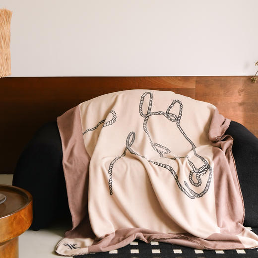 【换季出清】自然醒老钱风爱马仕风双面绒毛毯国王小马系列MT 商品图11