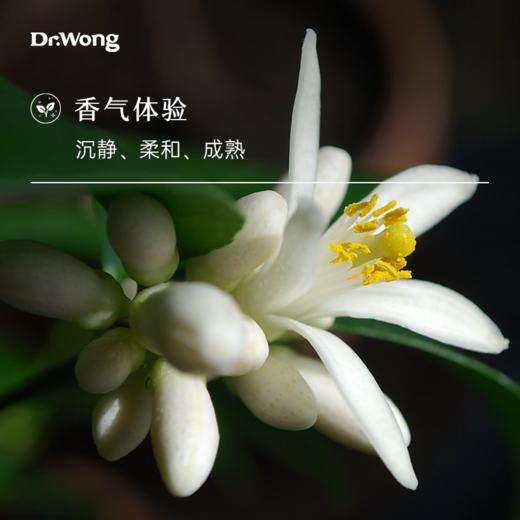 苦橙叶 单方精油 商品图1