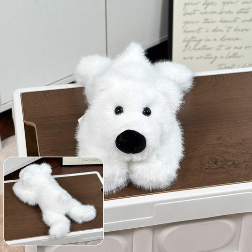 掌中白熊(含颗粒) 商品图0